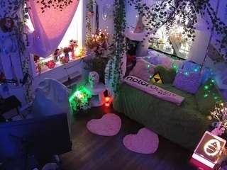 voyeurcam veccasalt 01