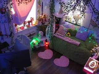 voyeurcam-veccasalt-01 webcam