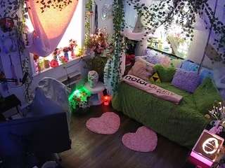 voyeurcam-veccasalt-01 webcam