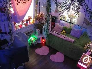 voyeurcam-veccasalt-01 webcam