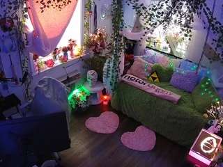 voyeurcam-veccasalt-01 webcam