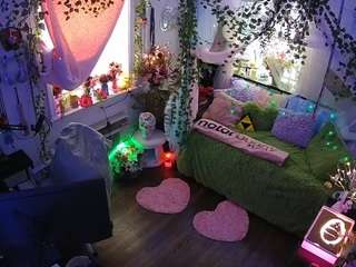 voyeurcam-veccasalt-01 webcam