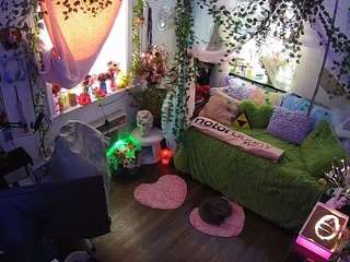 voyeurcam-veccasalt-01 webcam