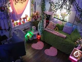 voyeurcam-veccasalt-01 webcam