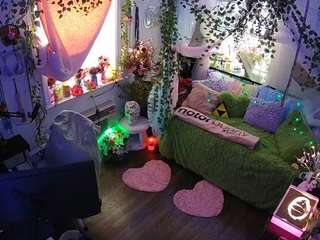 voyeurcam-veccasalt-01 webcam