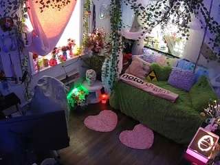 voyeurcam-veccasalt-01 webcam