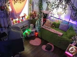 voyeurcam-veccasalt-01 webcam