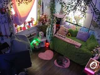 voyeurcam-veccasalt-01 webcam