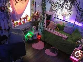 voyeurcam-veccasalt-01 webcam