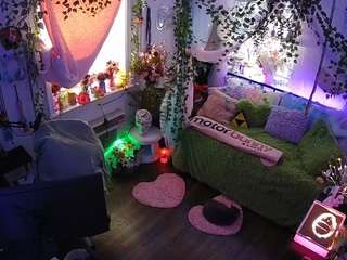 voyeurcam-veccasalt-01 webcam