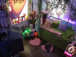 voyeurcam-veccasalt-01 webcam