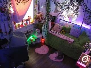 voyeurcam veccasalt 01