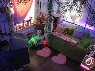 voyeurcam-veccasalt-01 webcam