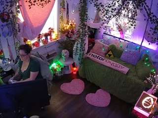 voyeurcam-veccasalt-01 webcam