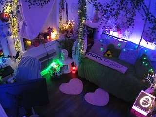 voyeurcam-veccasalt-01 webcam