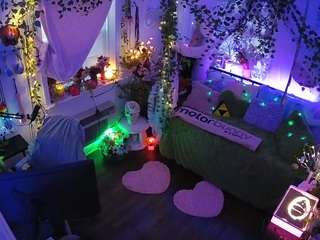 voyeurcam-veccasalt-01 webcam