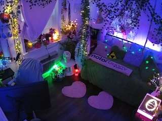 voyeurcam-veccasalt-01 webcam