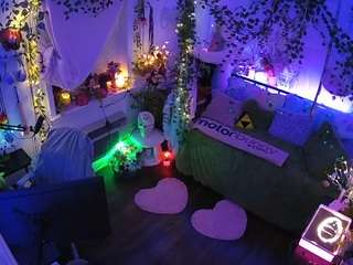 voyeurcam-veccasalt-01 webcam