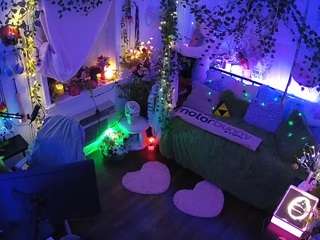 voyeurcam-veccasalt-01 webcam