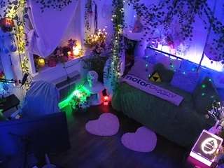 voyeurcam-veccasalt-01 webcam