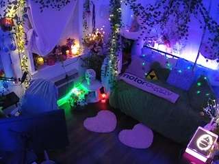 voyeurcam-veccasalt-01 webcam