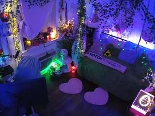 voyeurcam veccasalt 01