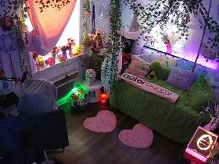 voyeurcam veccasalt 01