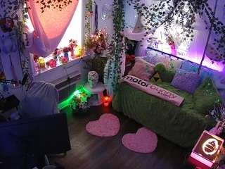 voyeurcam-veccasalt-01 webcam