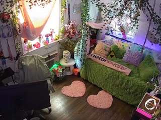 voyeurcam veccasalt 01