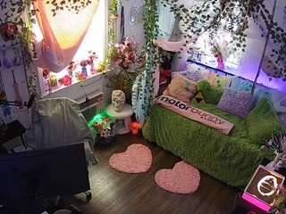 voyeurcam-veccasalt-01 webcam