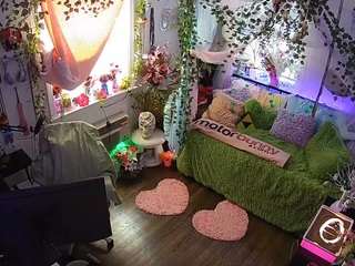 voyeurcam-veccasalt-01 webcam