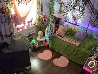 voyeurcam-veccasalt-01 webcam