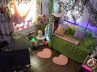 voyeurcam-veccasalt-01 webcam