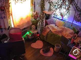 voyeurcam veccasalt 01