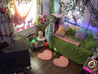 voyeurcam-veccasalt-01 webcam