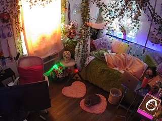 voyeurcam veccasalt 01