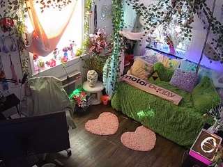 voyeurcam-veccasalt-01 webcam