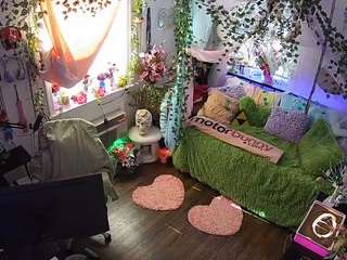 voyeurcam-veccasalt-01 webcam