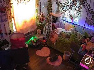 voyeurcam-veccasalt-01 webcam