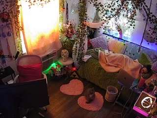 voyeurcam-veccasalt-01 webcam