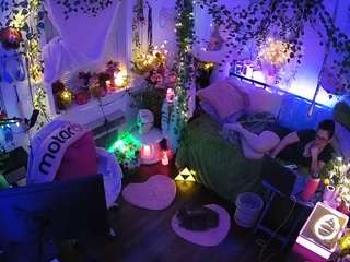 voyeurcam-veccasalt-01 webcam