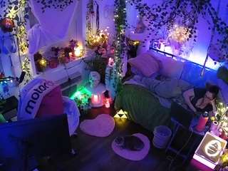 voyeurcam-veccasalt-01 webcam