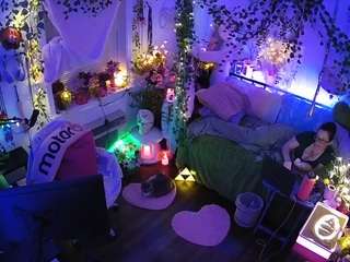 voyeurcam veccasalt 01