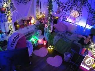 voyeurcam-veccasalt-01 webcam