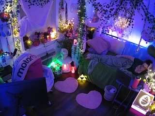 voyeurcam veccasalt 01