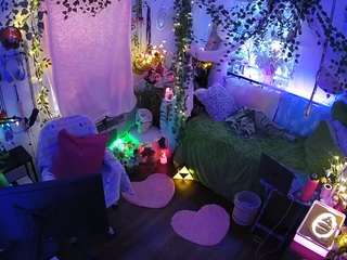 voyeurcam-veccasalt-01 webcam