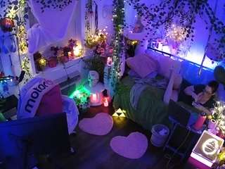 voyeurcam-veccasalt-01 webcam