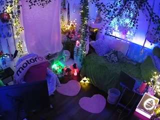 voyeurcam-veccasalt-01 webcam