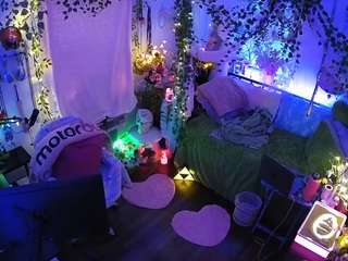 voyeurcam-veccasalt-01 webcam