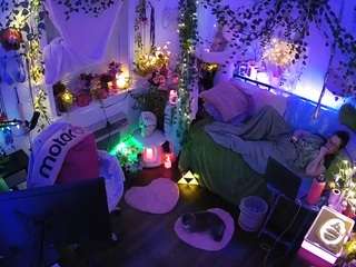 voyeurcam-veccasalt-01 webcam